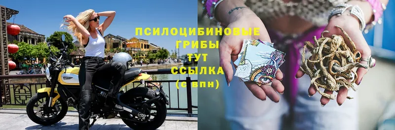 Псилоцибиновые грибы мицелий  Льгов 